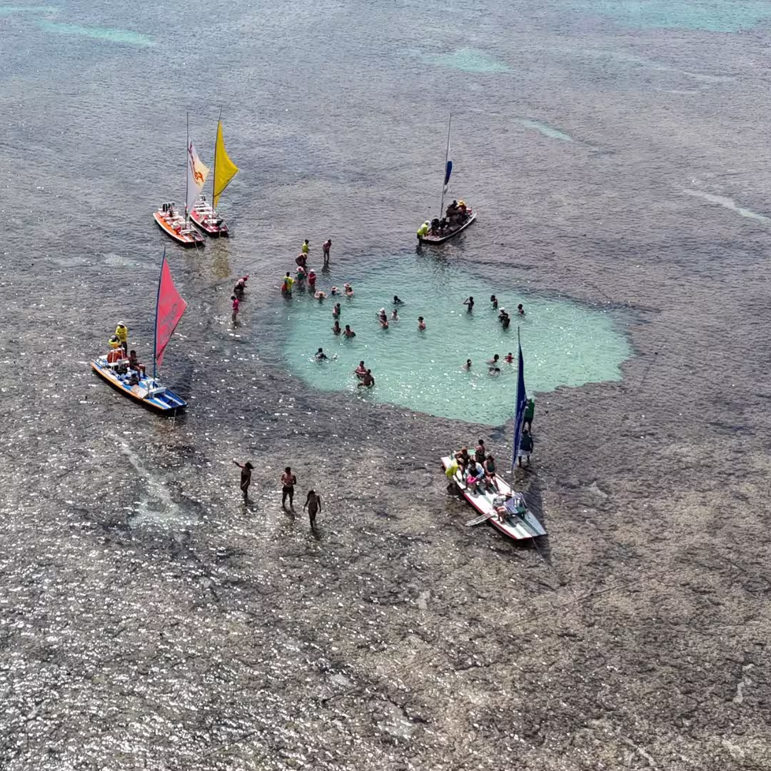 Melhores passeios em Porto de Galinhas (primeira vez)
