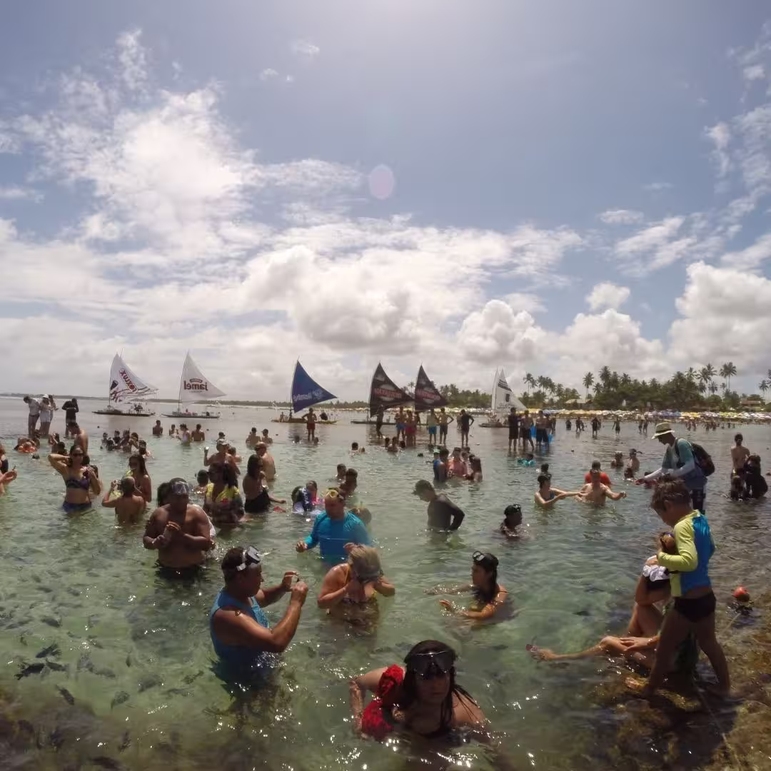 Piscinas Naturais de Porto de Galinhas