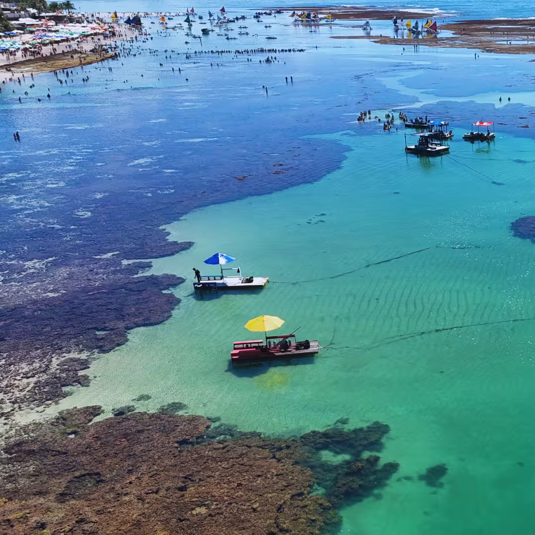 Porto de Galinhas tem tubarão?